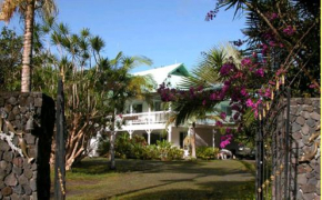 Гостиница Lava Tree Tropic Inn  Pahoa